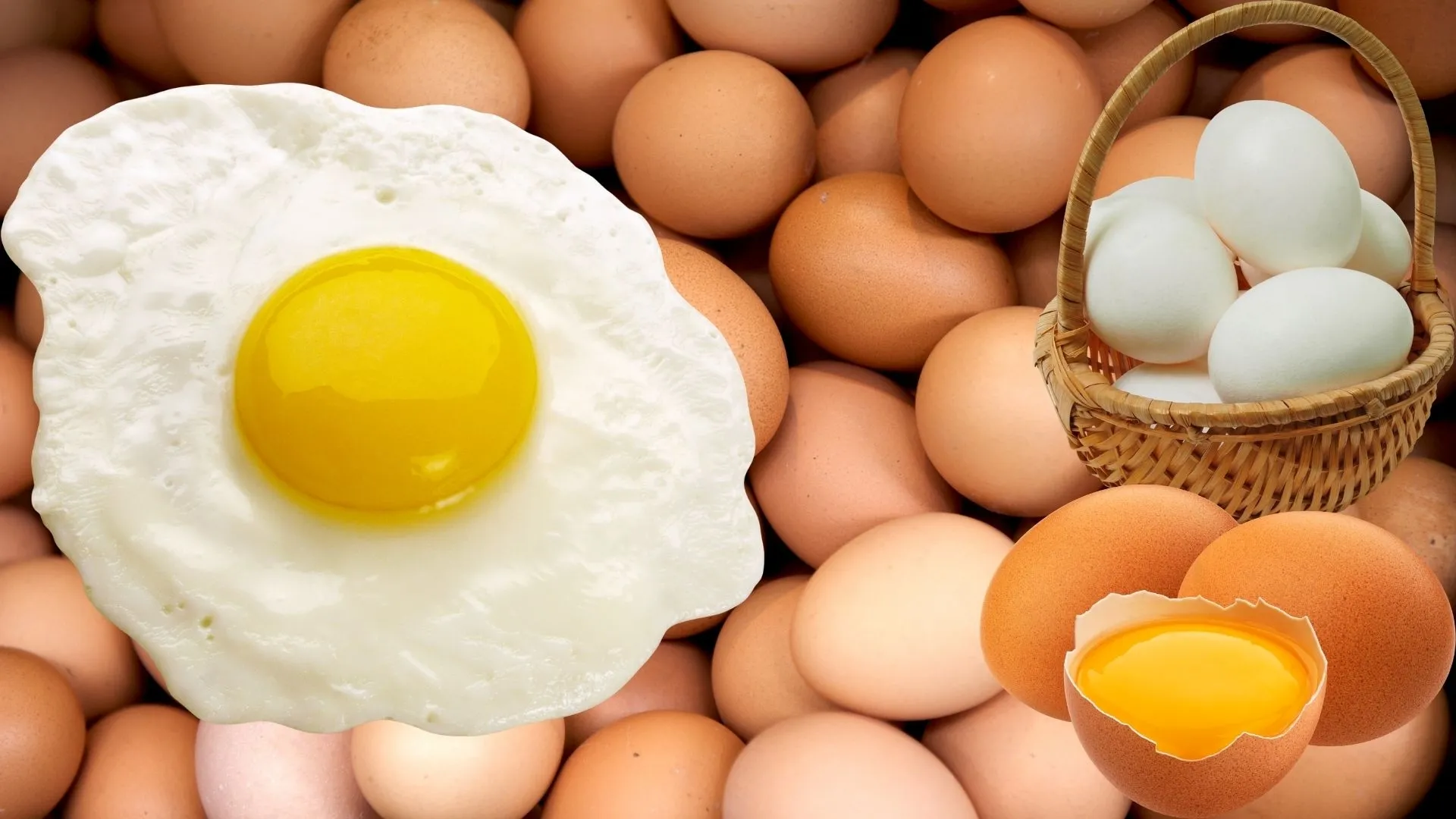 Sofralarımızdaki Yumurta Gerçekten Sağlıklı mı?